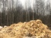 Древесные опилки и матрица от шпона